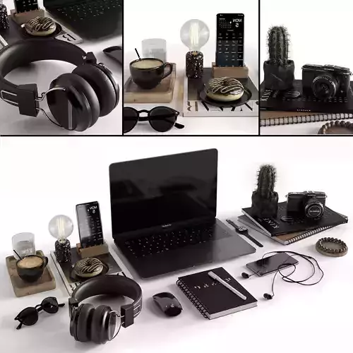 Workplace 2 camera with cactus 3D model