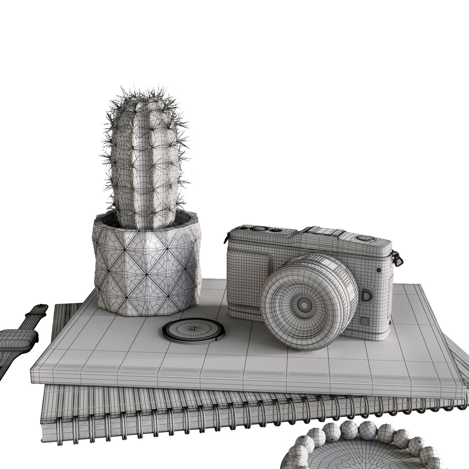 Workplace 2 camera with cactus 3D model_11