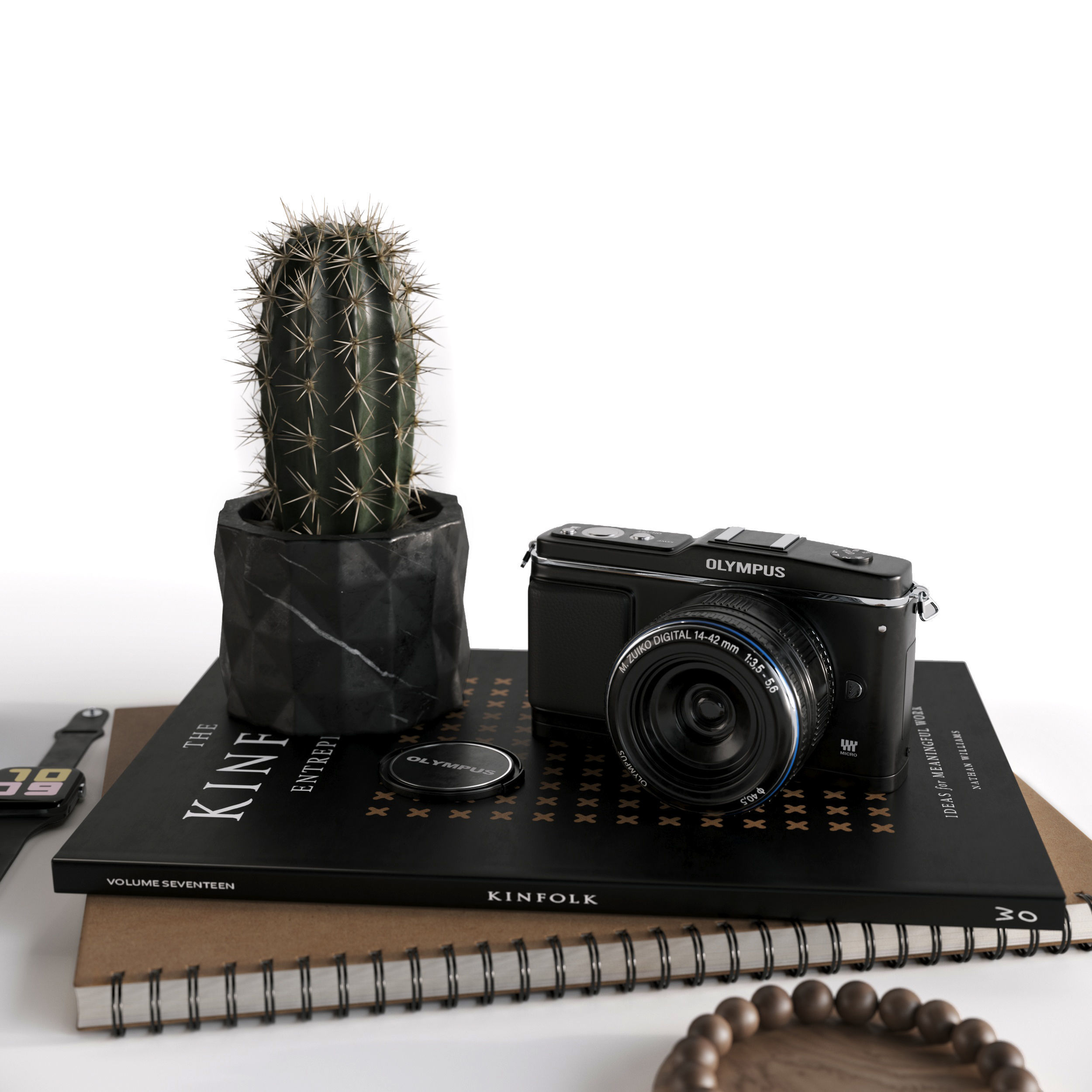 Workplace 2 camera with cactus 3D model_5