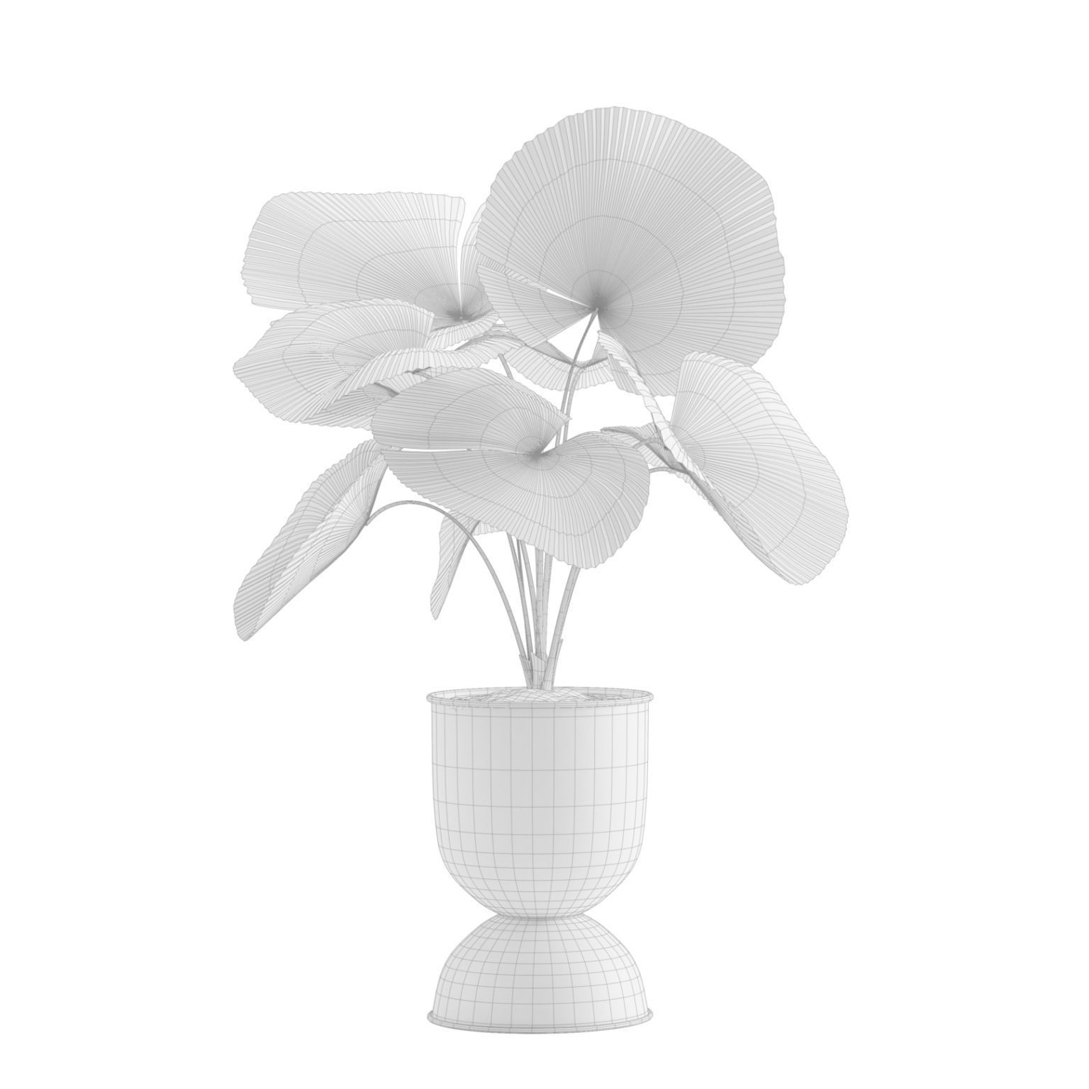 Indoor Plants Pack 13 3D model_8