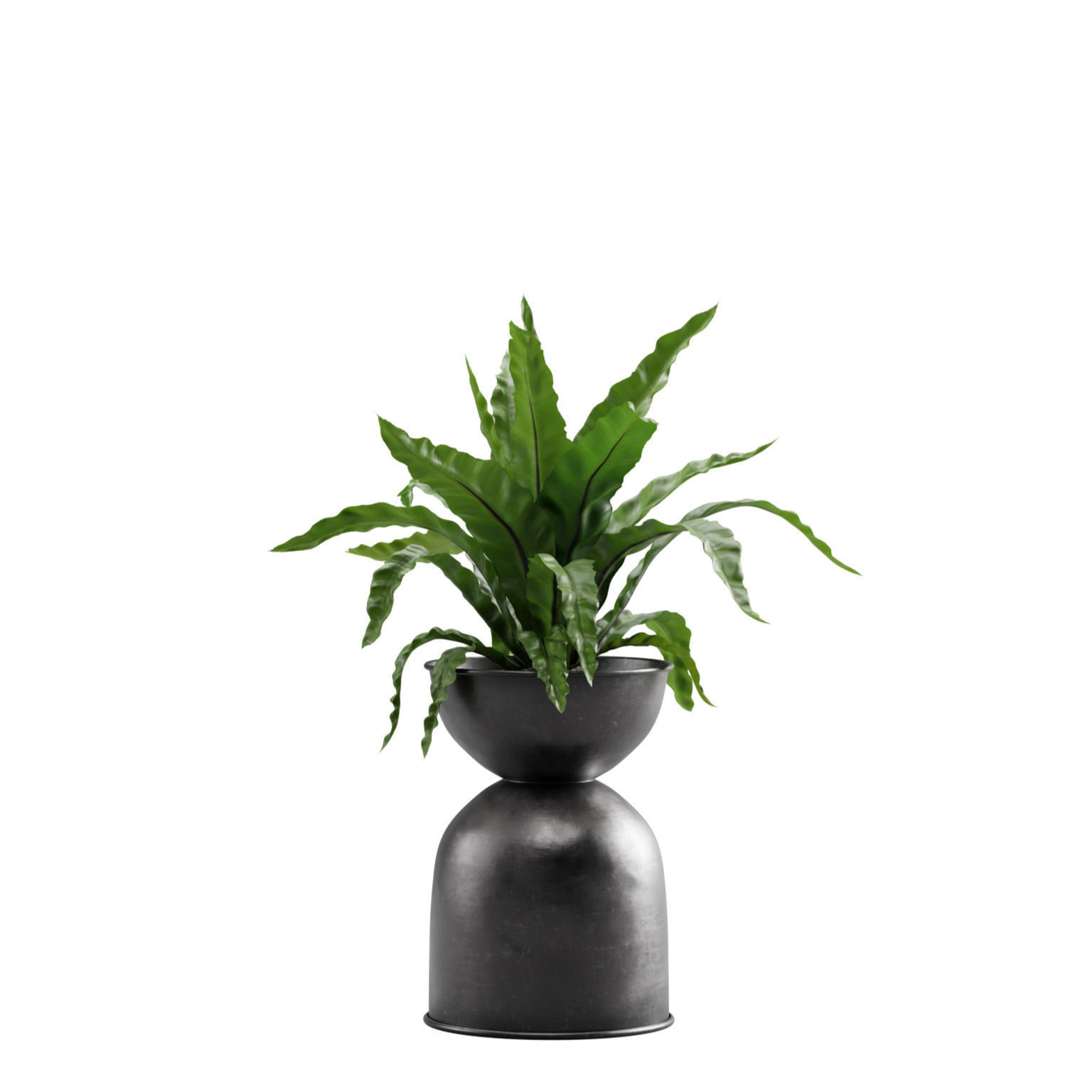 Indoor Plants Pack 13 3D model_7