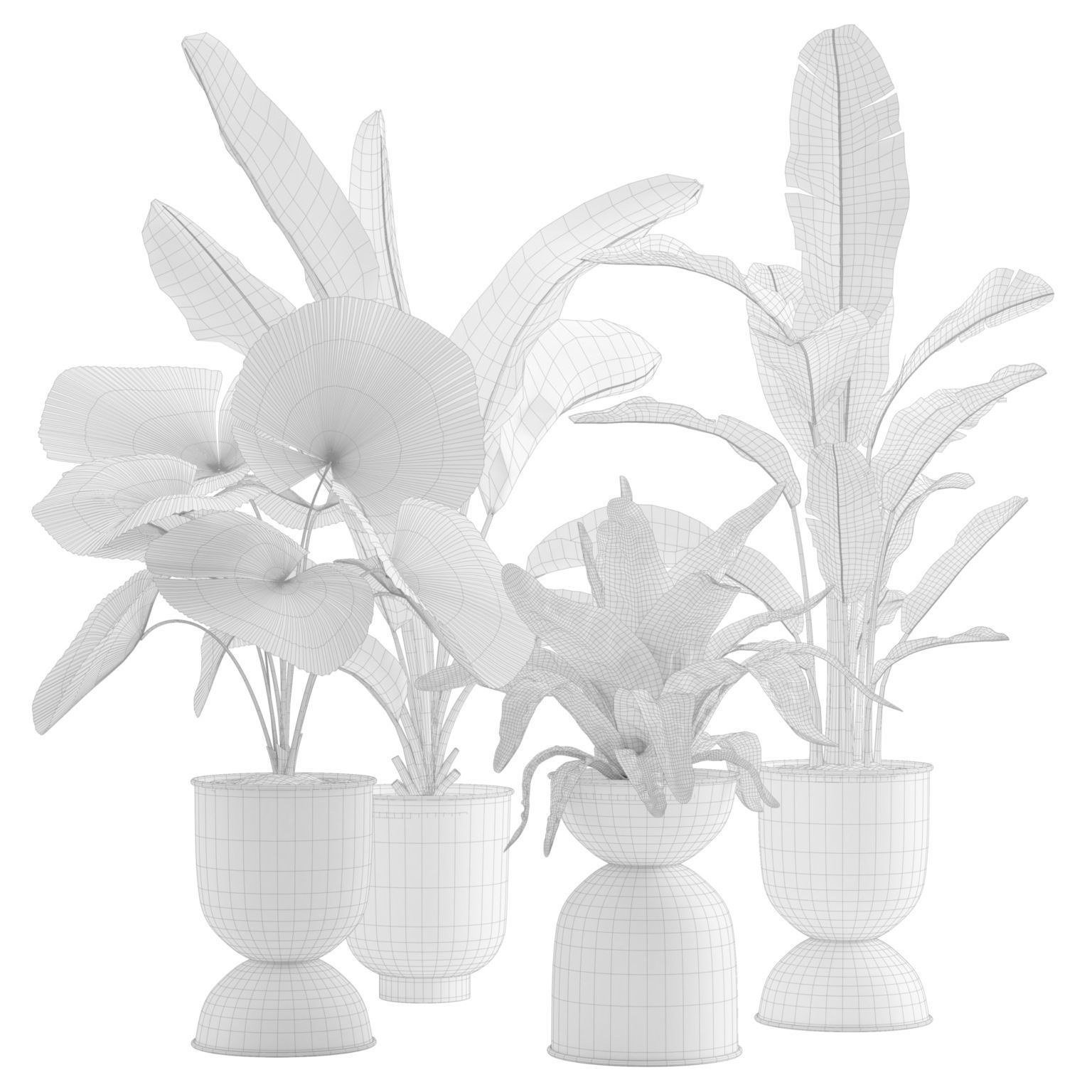 Indoor Plants Pack 13 3D model_1