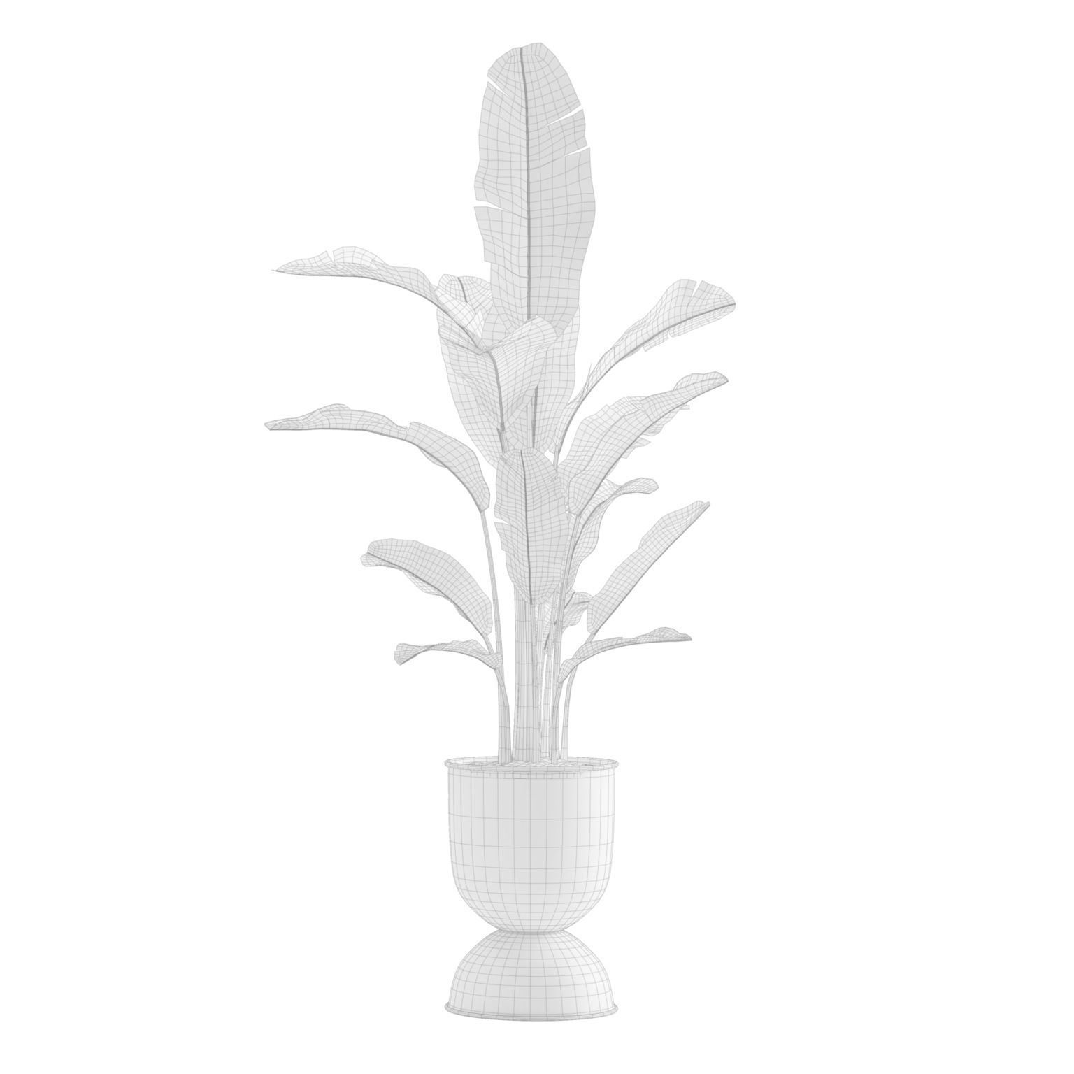 Indoor Plants Pack 13 3D model_5