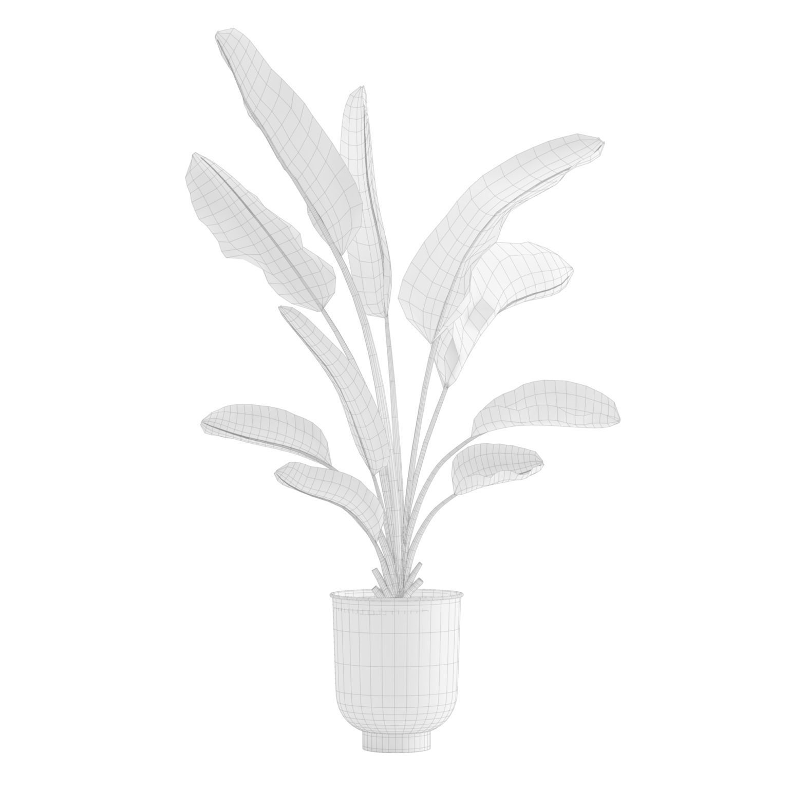 Indoor Plants Pack 13 3D model_3