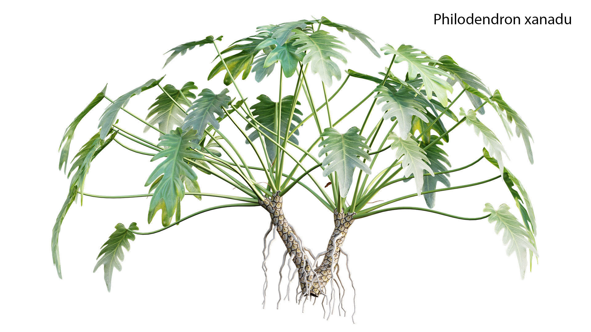 Japanese garden 3D model_39