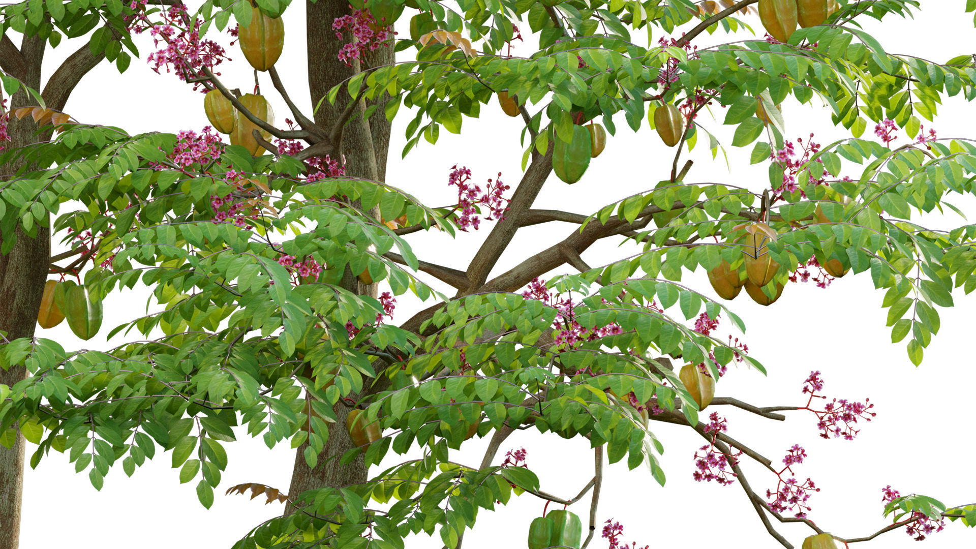 Japanese garden 3D model_9