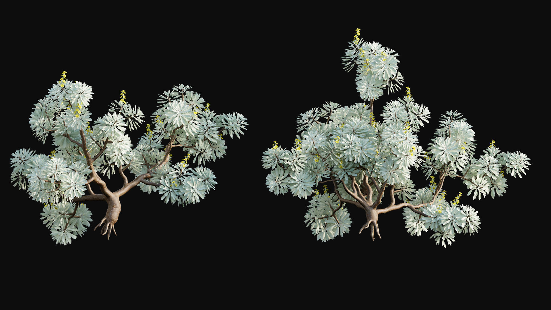 Japanese garden 3D model_22