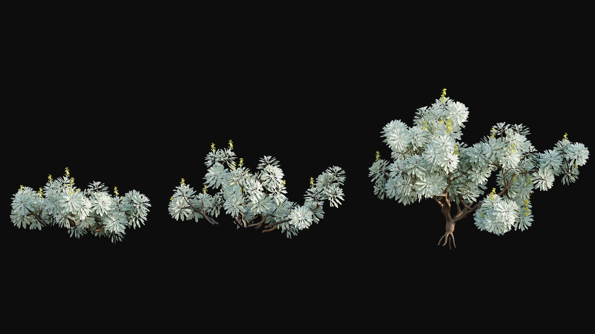 Japanese garden 3D model_21