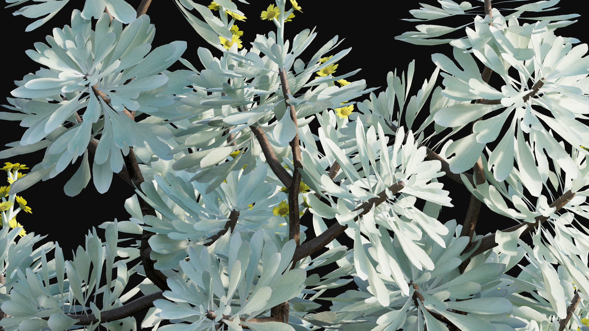 Japanese garden 3D model_19