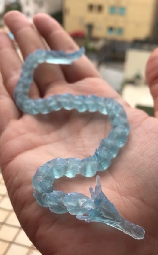 WATER DRAGON FORM FLEXI ARTICULATED KIMETSU DEMON SLAYER 3D print model_5