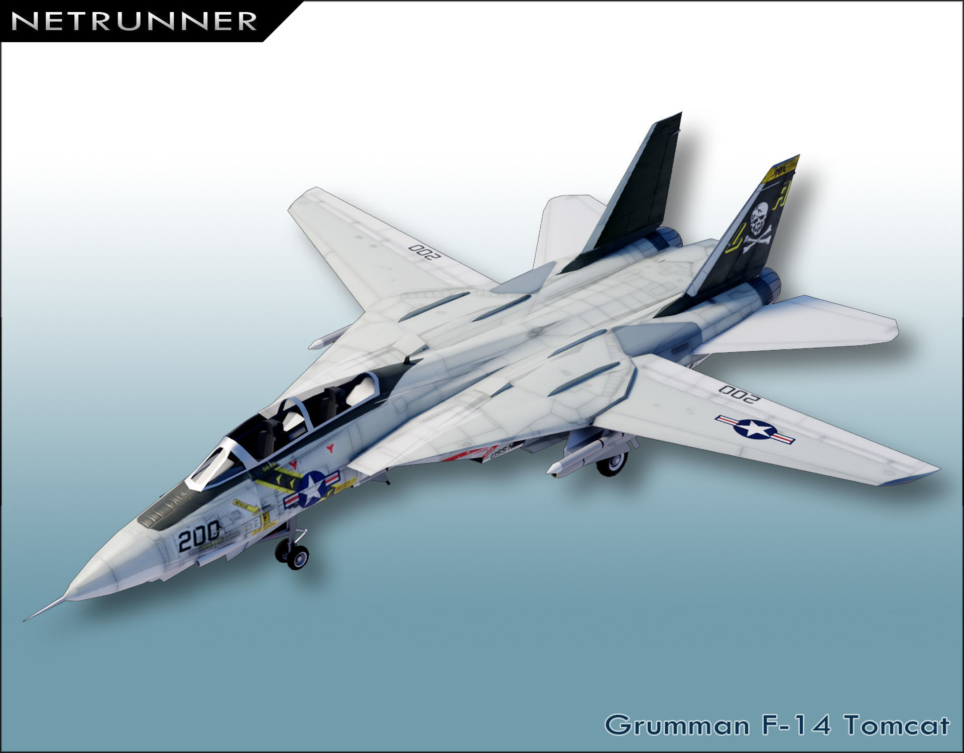 Grumman F-14 Tomcat Low-poly 3D model_0