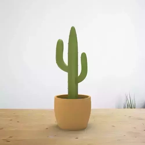 Classic Cactus on a Pot