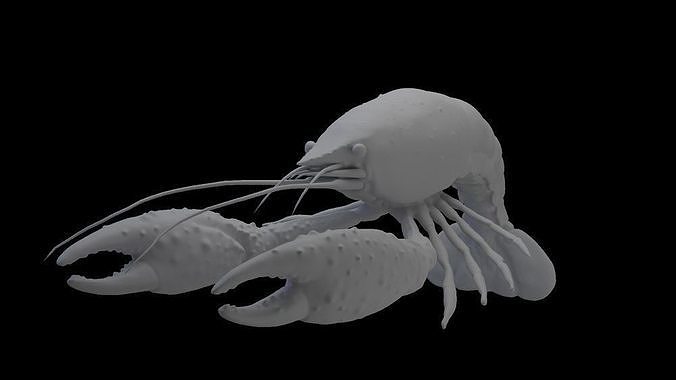 High polygon    Crayfish Model Free 3D model