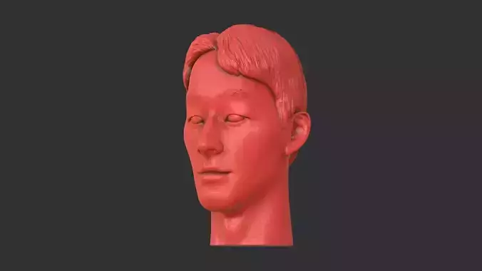Son Heung-min 3D print model