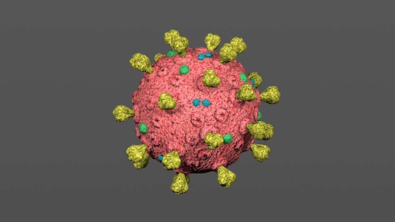 Covid-19 coronavirus Low-poly 3D model_3