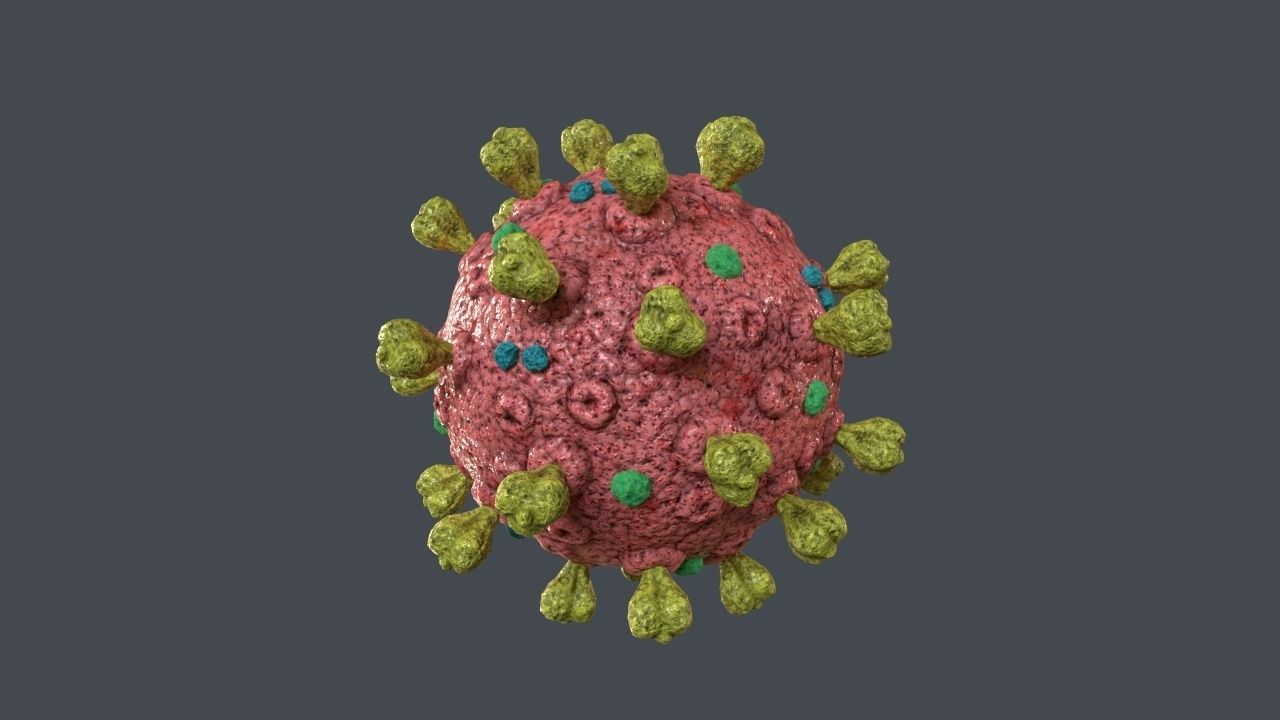 Covid-19 coronavirus Low-poly 3D model_5