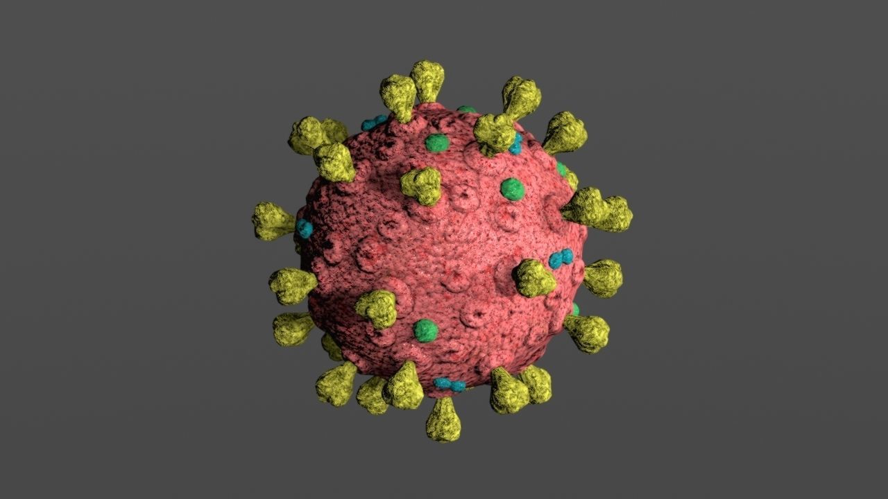 Covid-19 coronavirus Low-poly 3D model_4