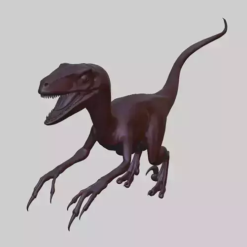 Velociraptor 3D Model 