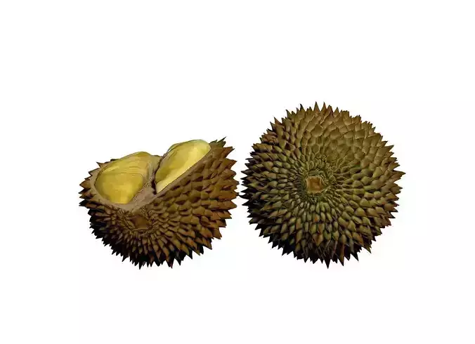 Durian fruit