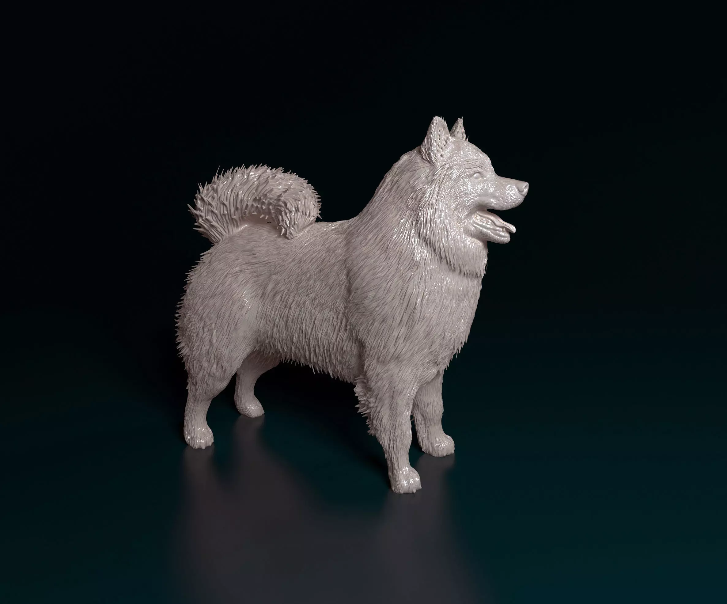 Samoyed dog 3D print model_0