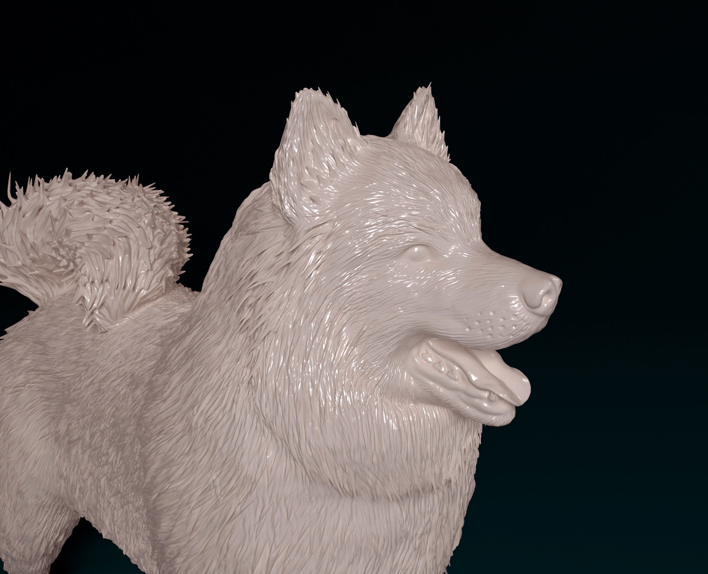 Samoyed dog 3D print model_8