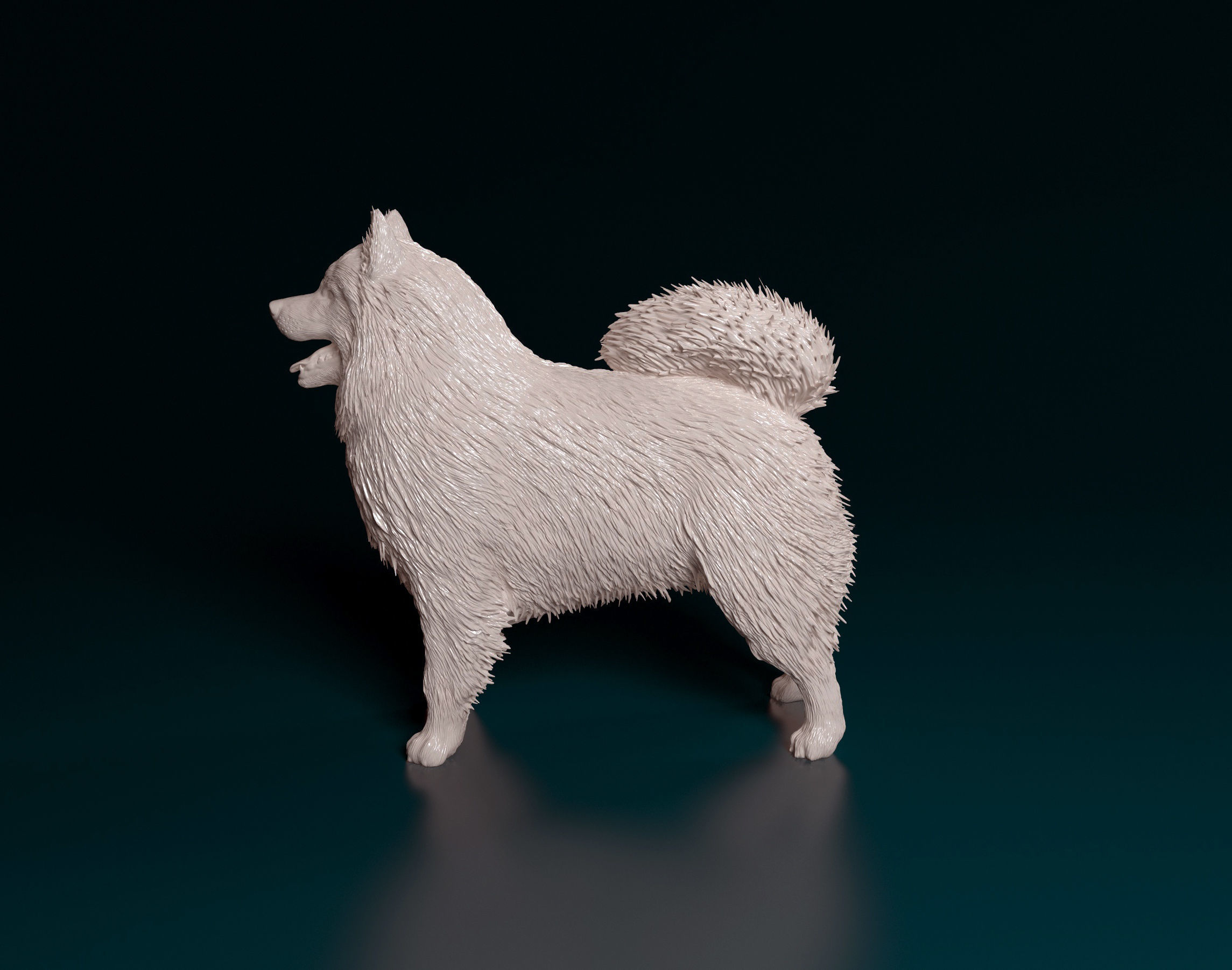 Samoyed dog 3D print model_5