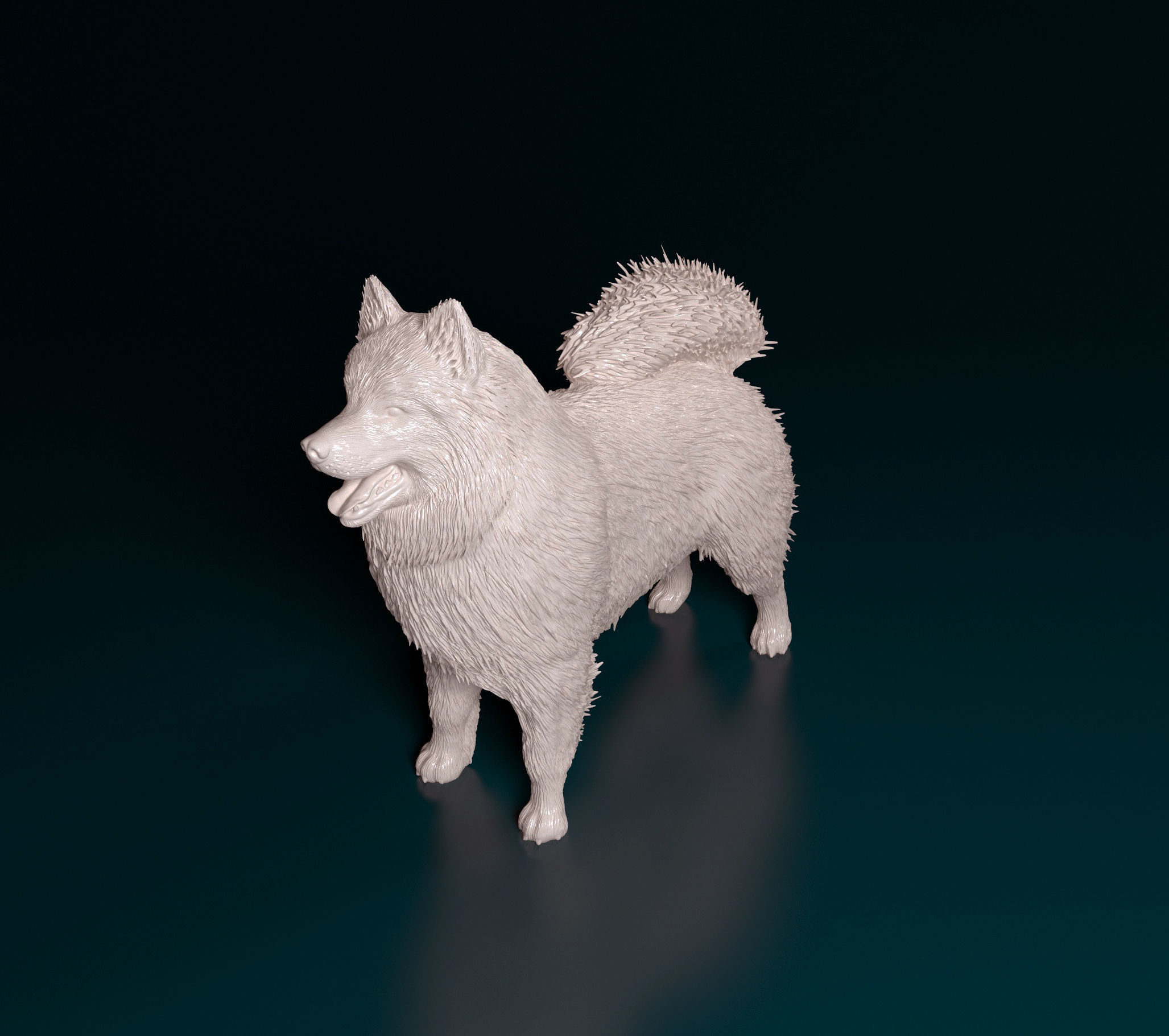 Samoyed dog 3D print model_6
