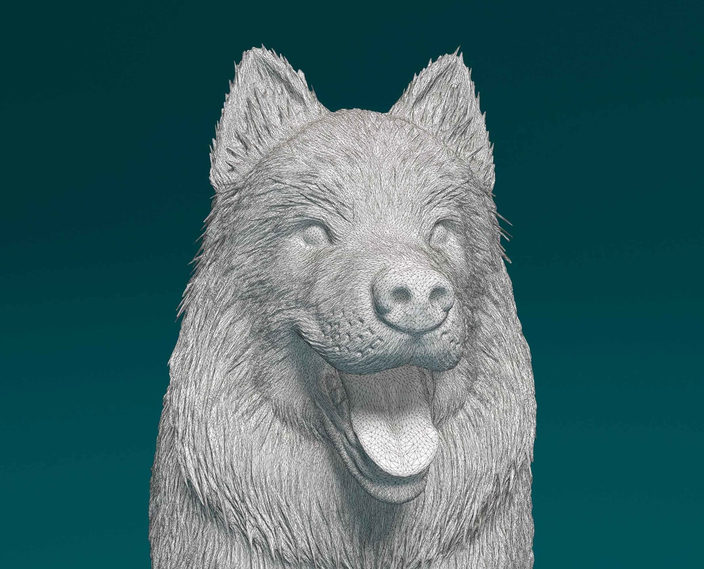 Samoyed dog 3D print model_9