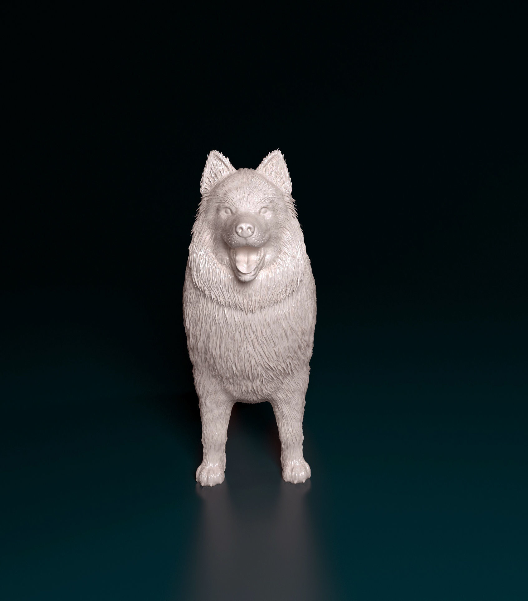 Samoyed dog 3D print model_7