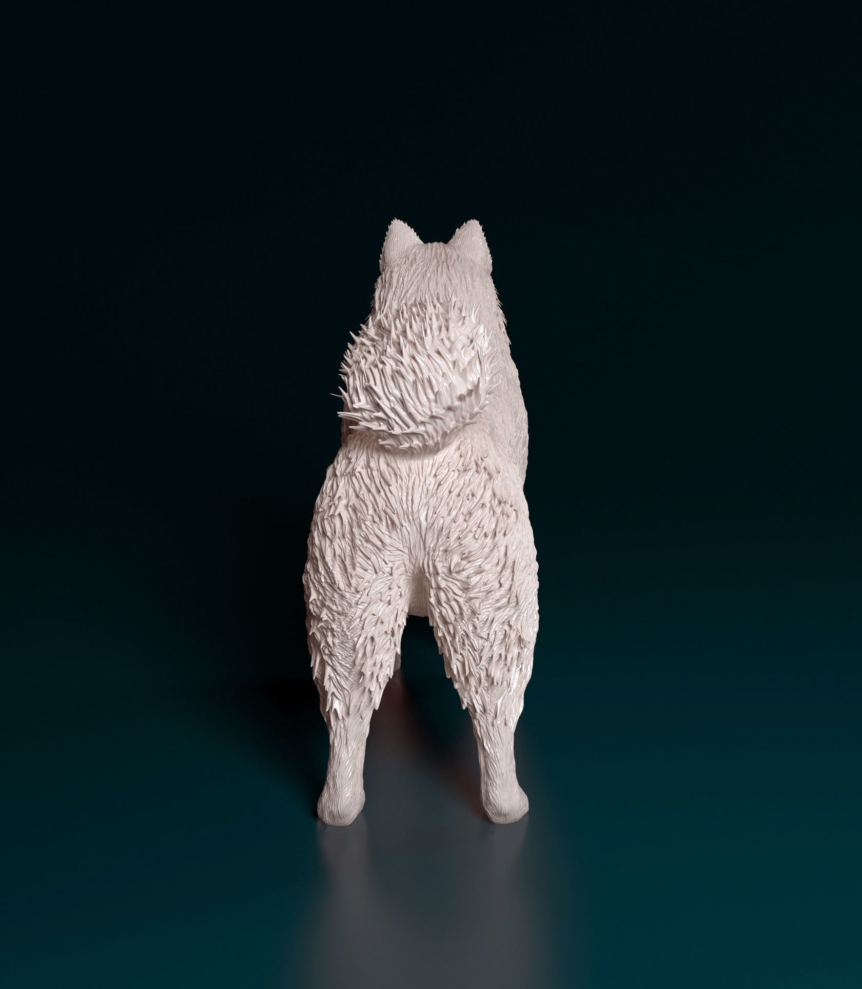 Samoyed dog 3D print model_3