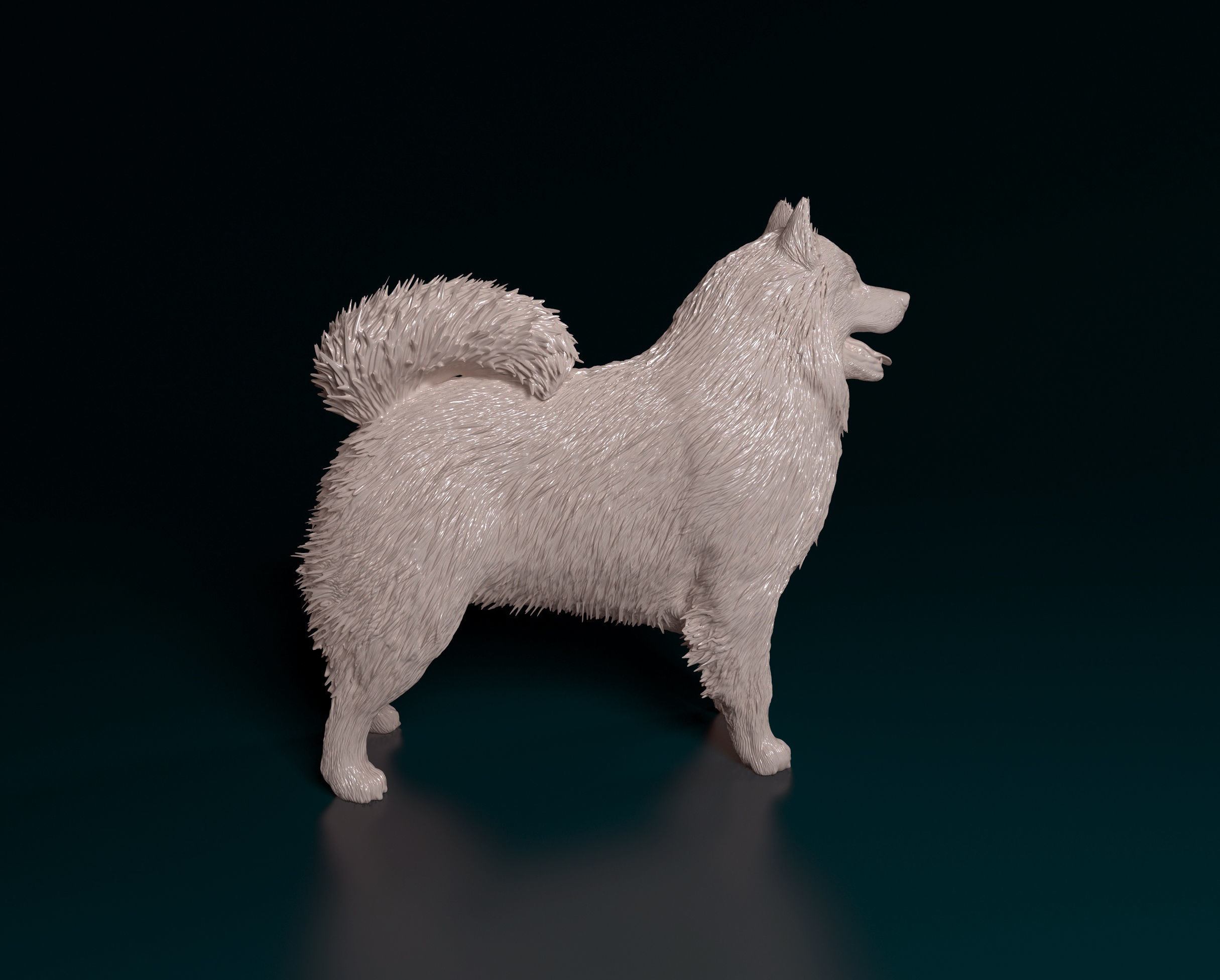 Samoyed dog 3D print model_1