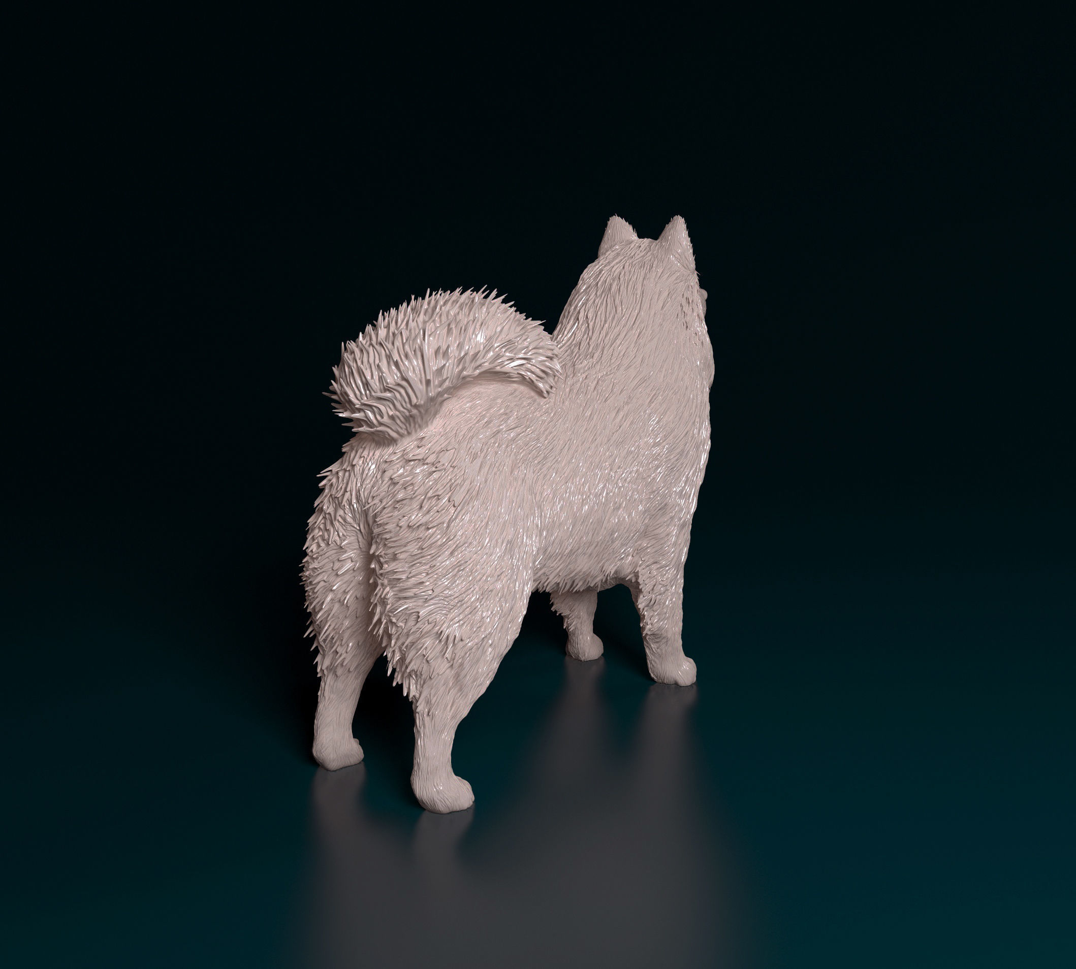 Samoyed dog 3D print model_2