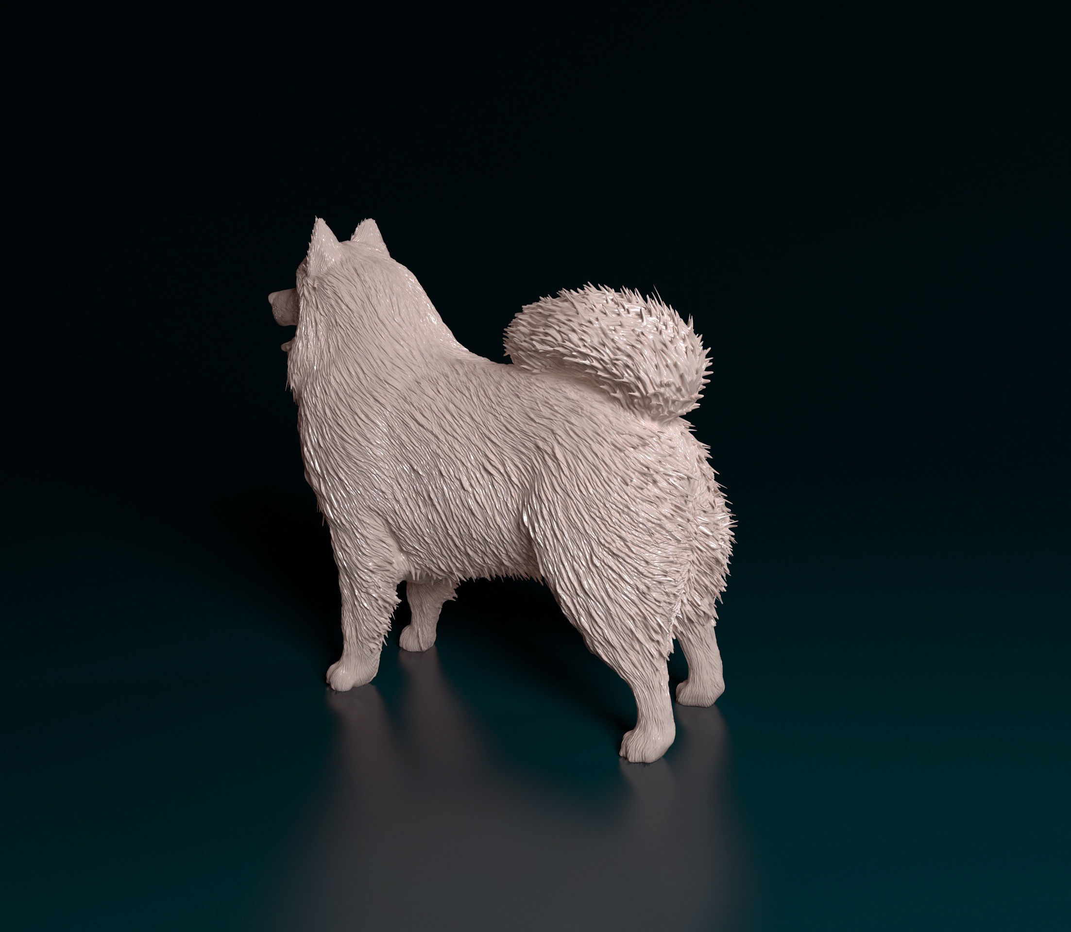 Samoyed dog 3D print model_4