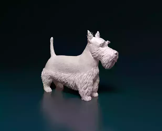 Scottish terrier 3D print model