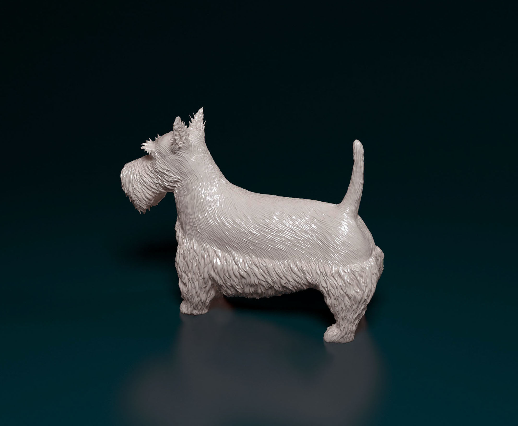 Scottish terrier 3D print model_4