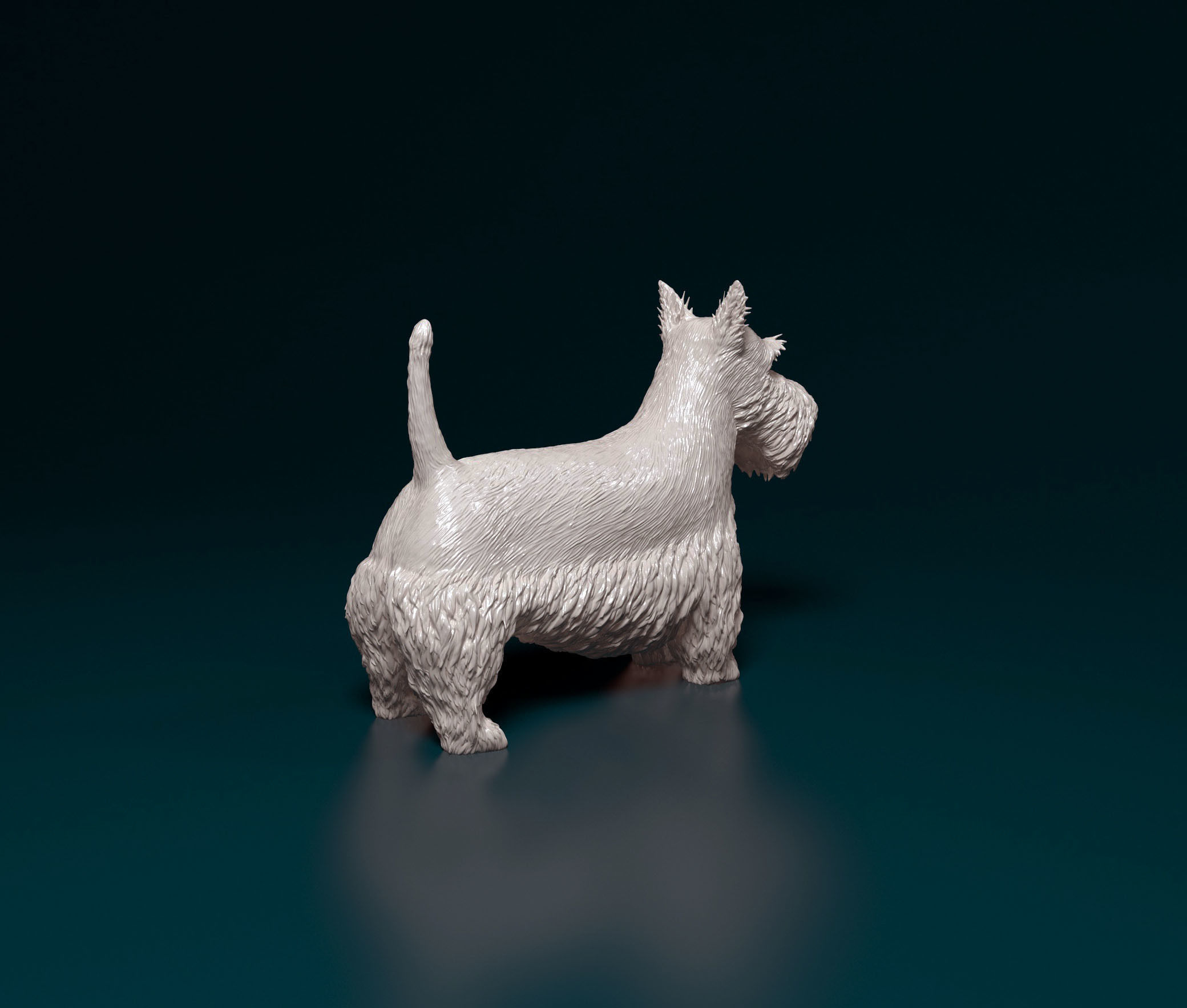 Scottish terrier 3D print model_2