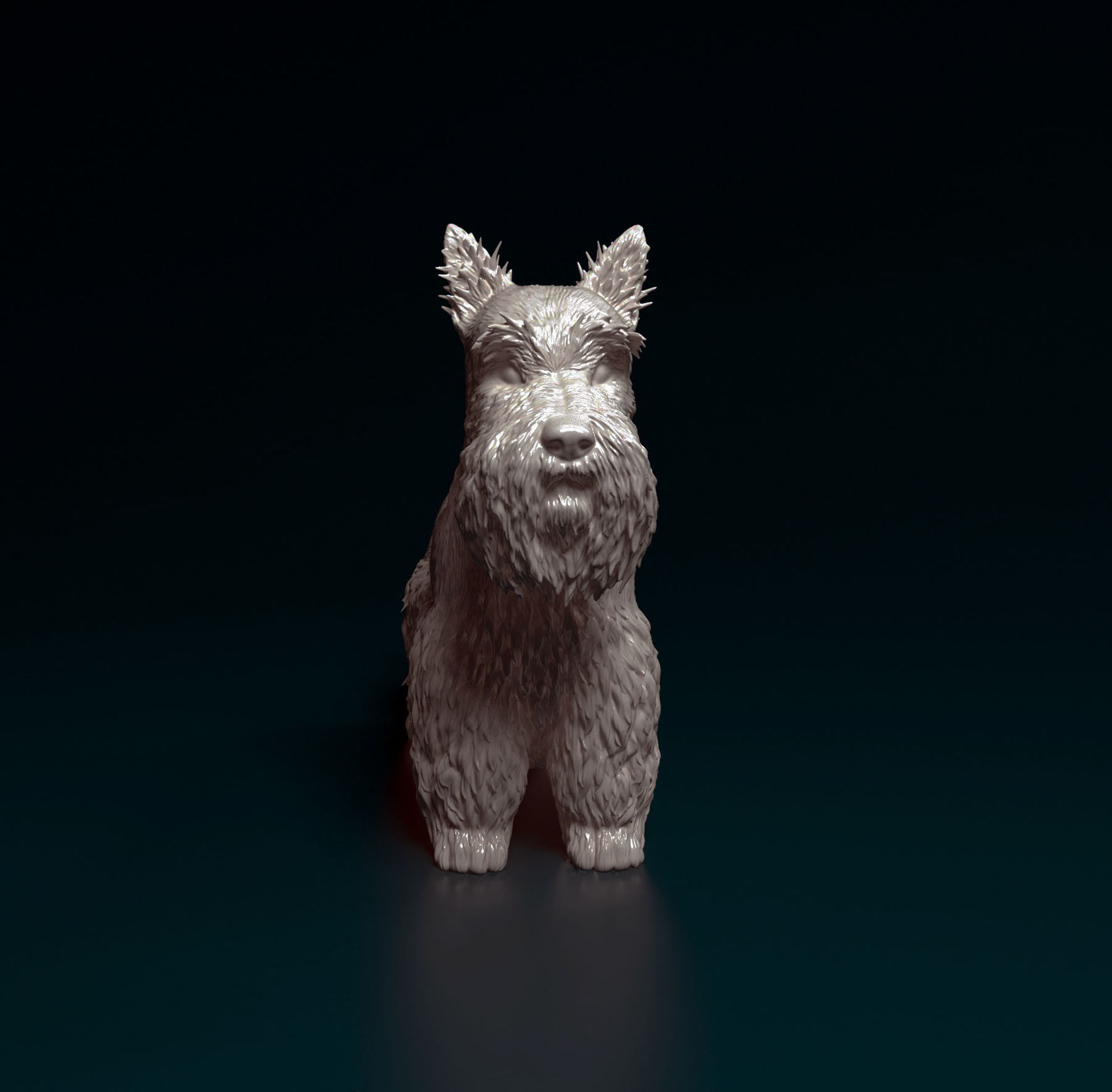 Scottish terrier 3D print model_7