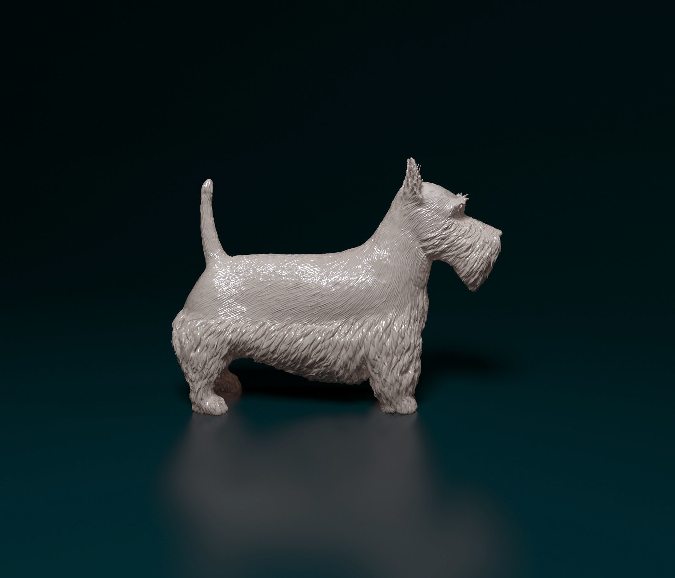 Scottish terrier 3D print model_1
