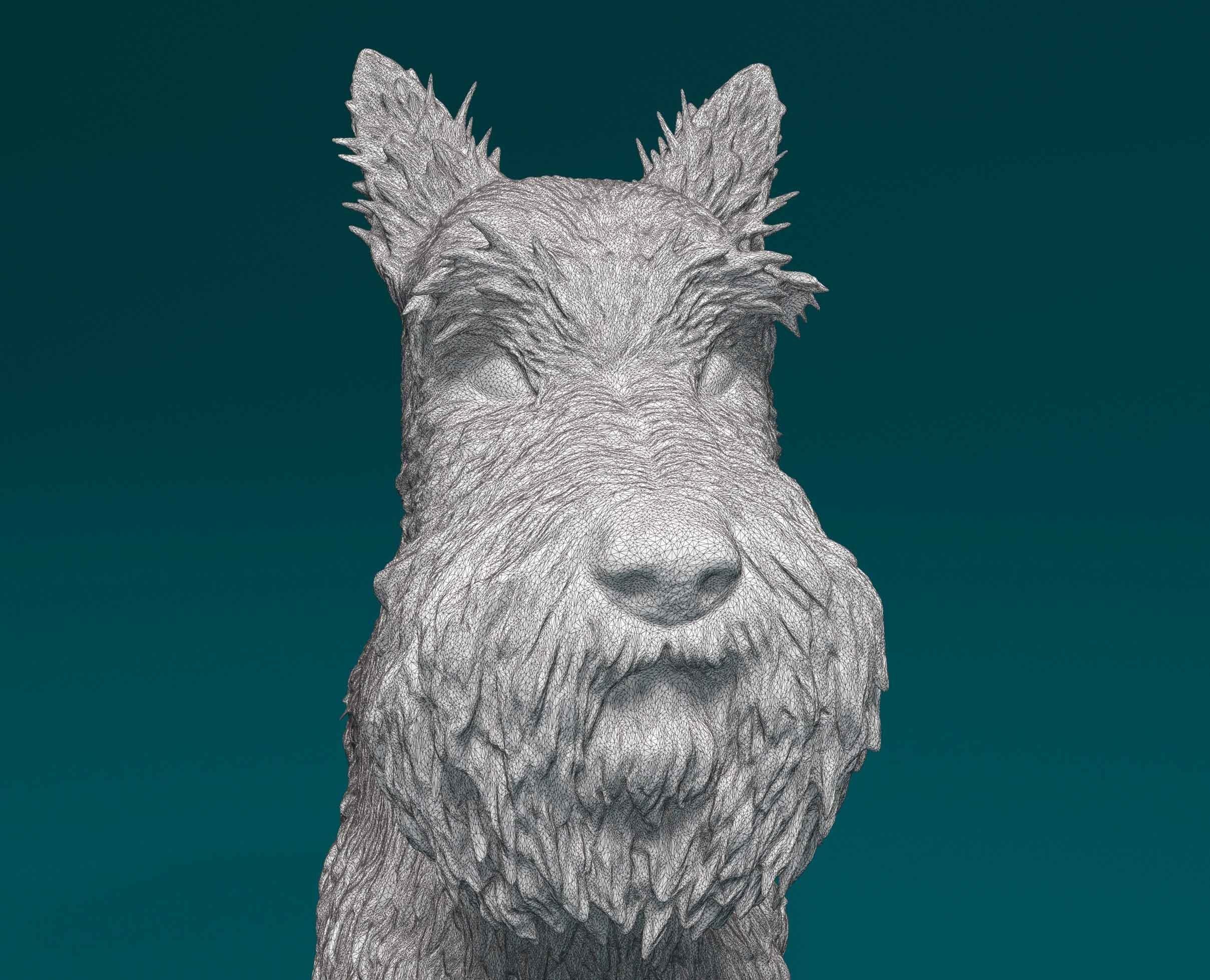 Scottish terrier 3D print model_8