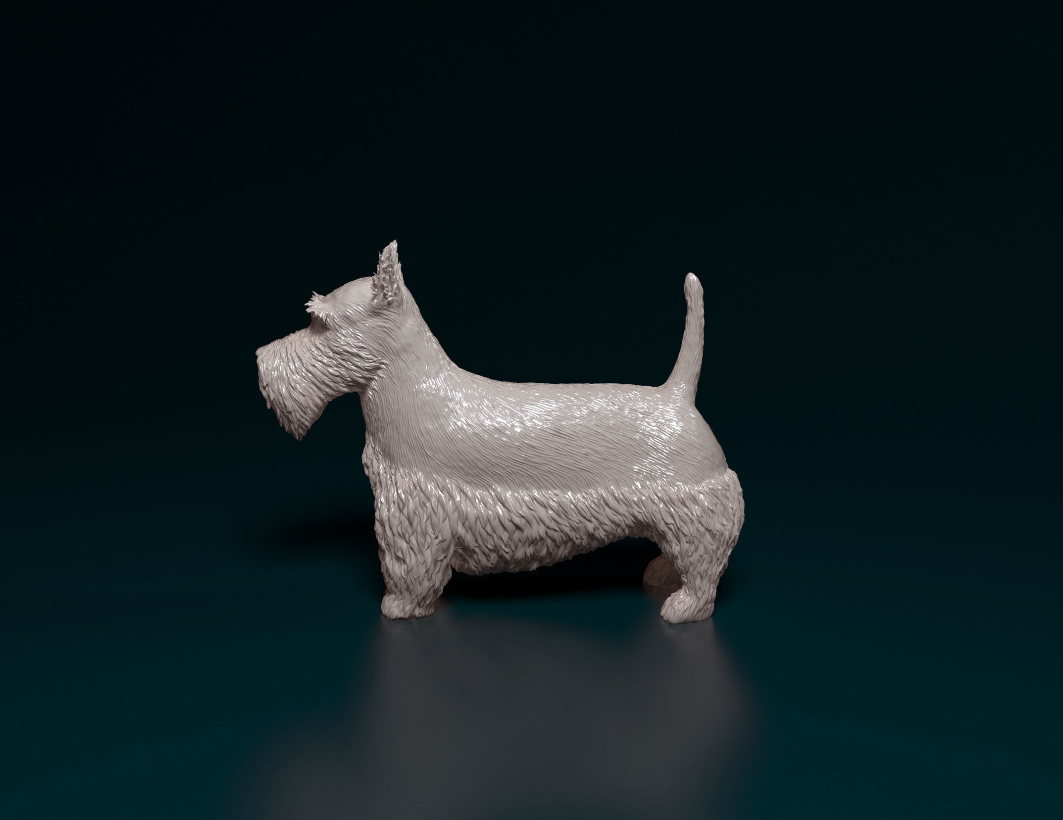 Scottish terrier 3D print model_5