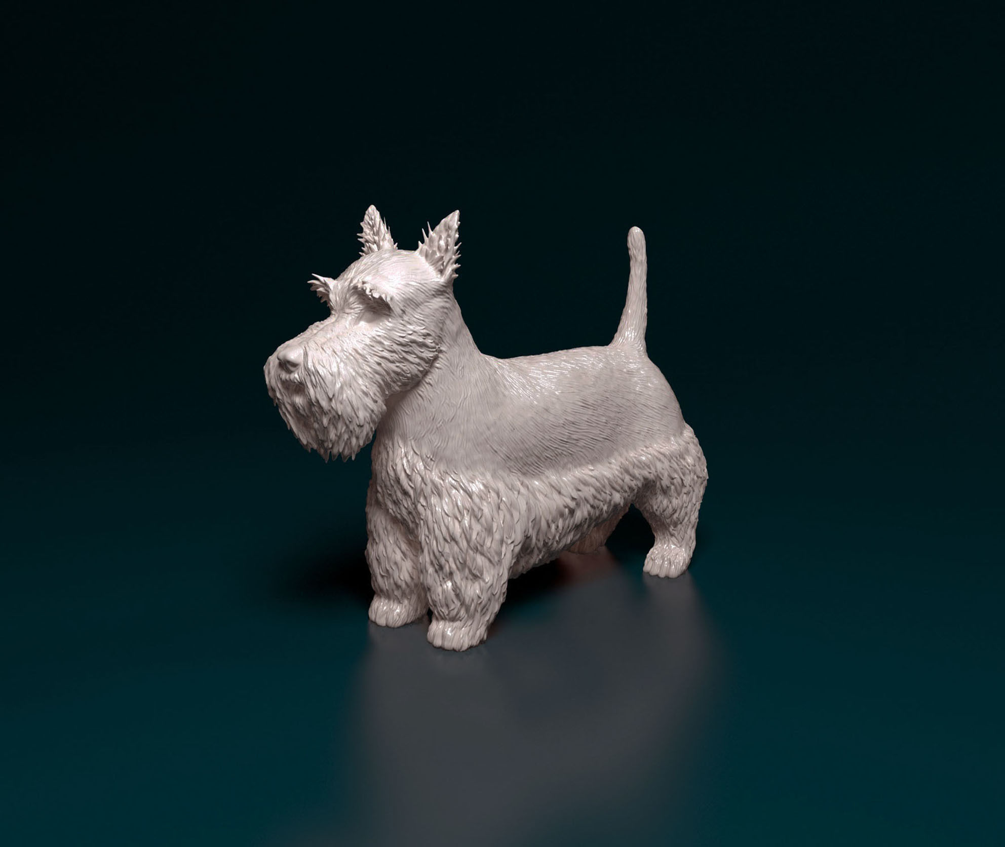 Scottish terrier 3D print model_6