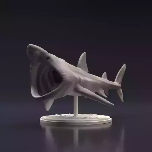 Basking Shark for 3D Printing 3D print model