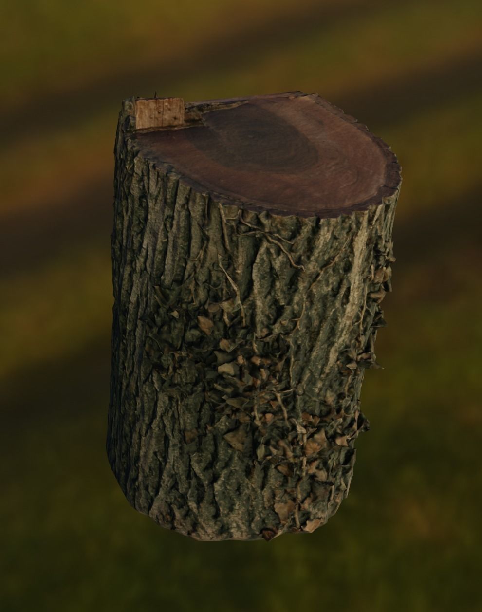 Old House Exterior Props 01 - Photoscanned Free low-poly 3D model_11