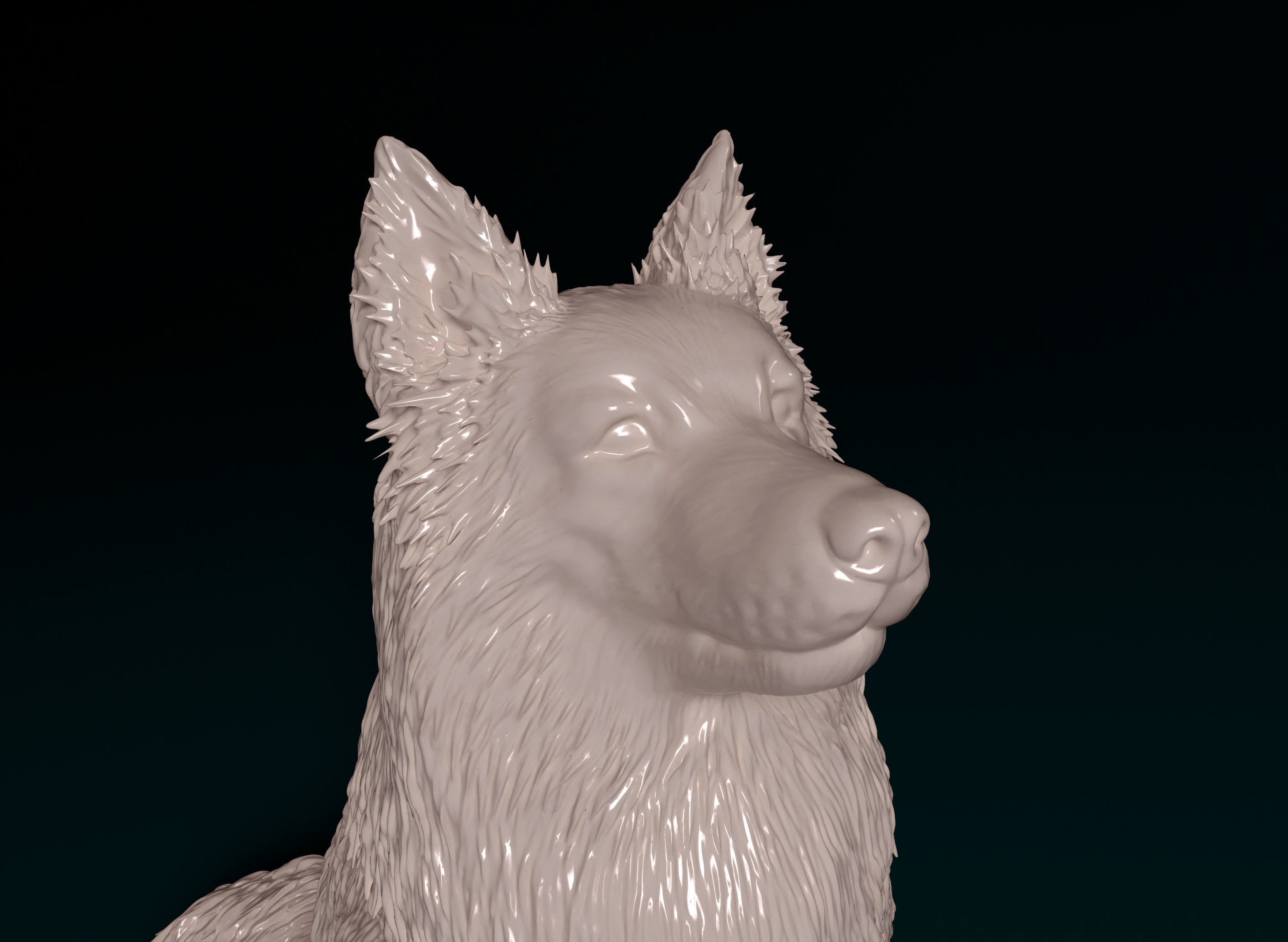 Sheltie dog 3D print model_8