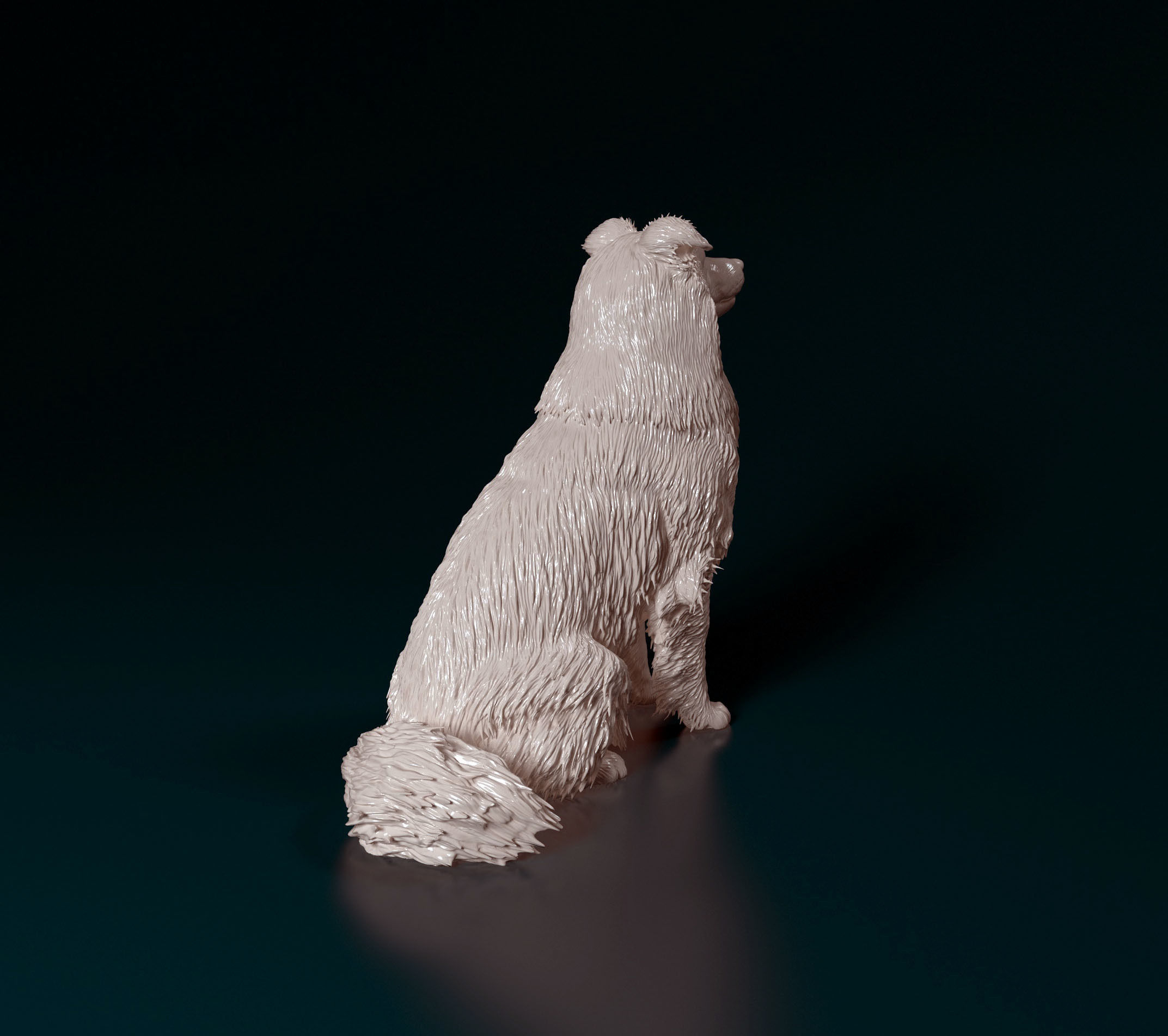 Sheltie dog 3D print model_2