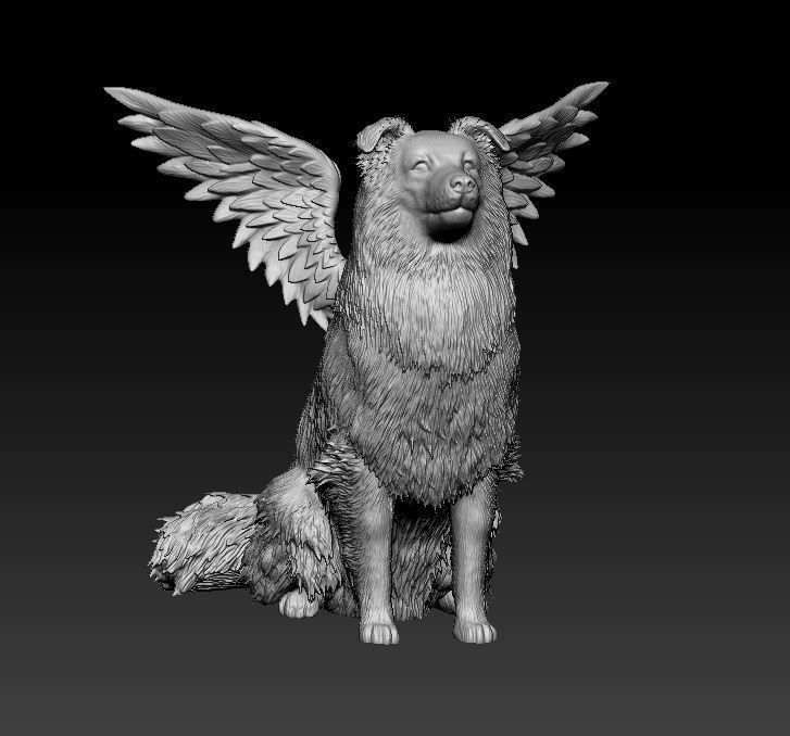Sheltie dog 3D print model_10