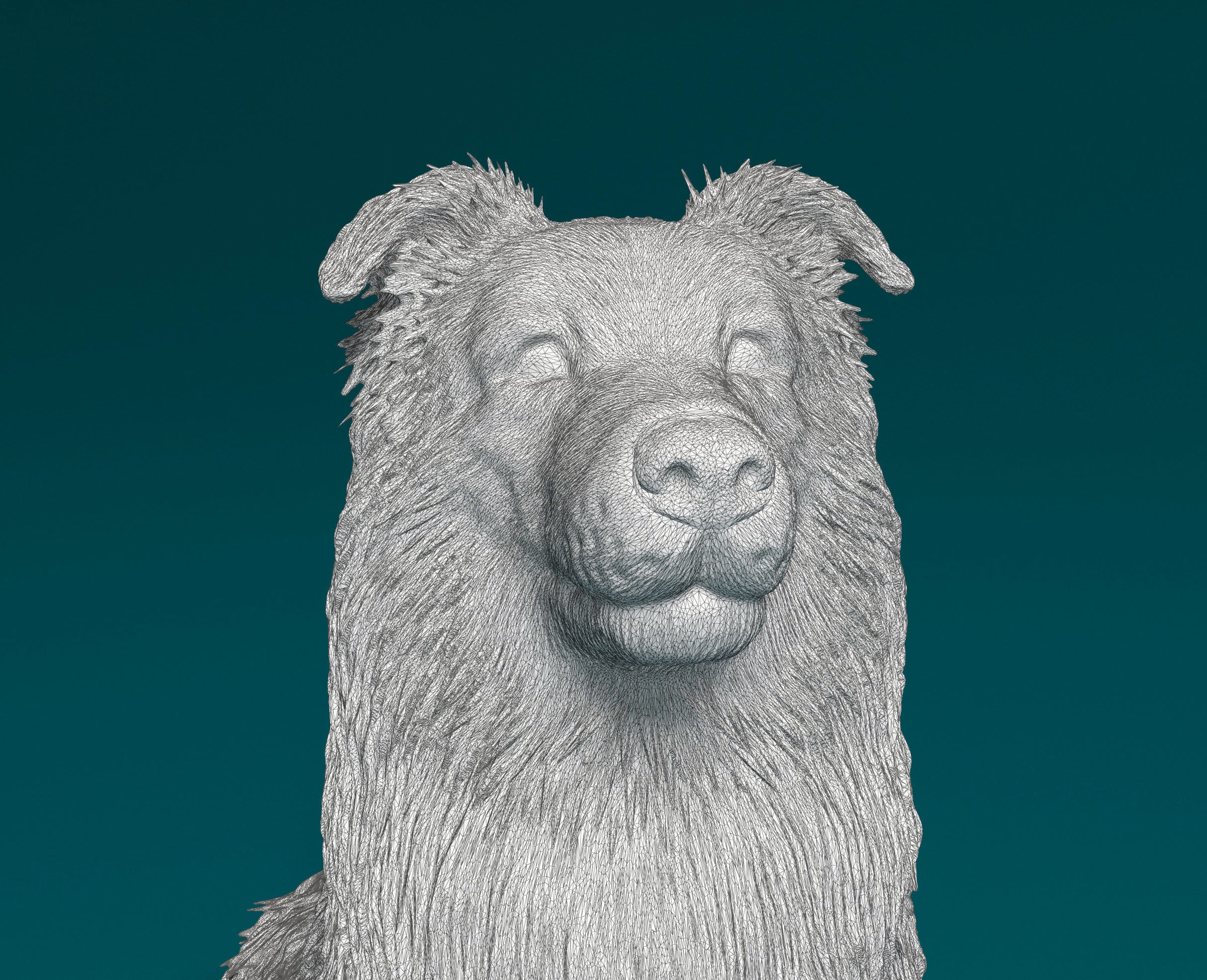 Sheltie dog 3D print model_9