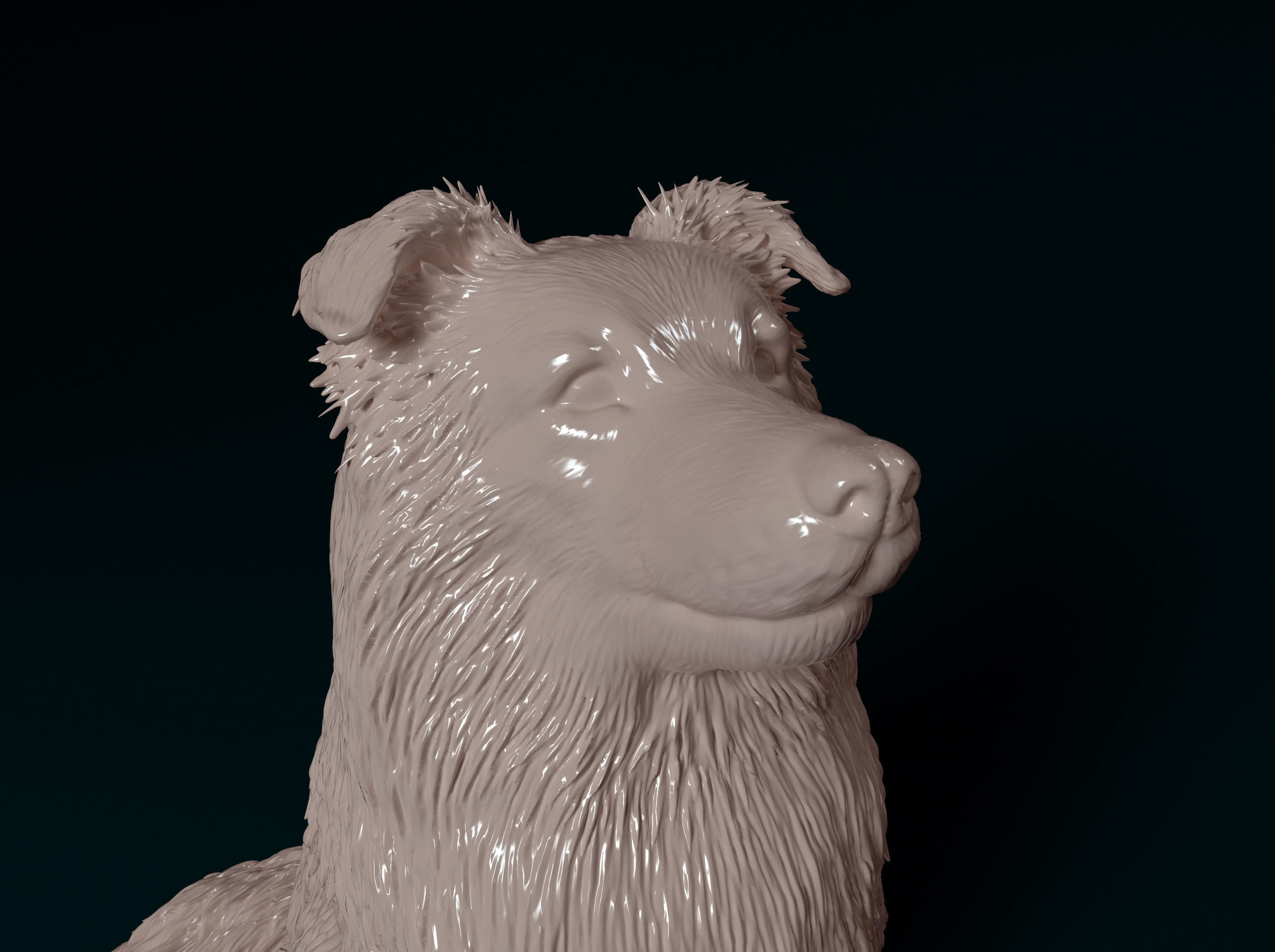 Sheltie dog 3D print model_7