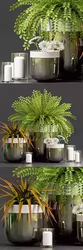 House Architecture 3d model restaurant bookcafe cafe evo house