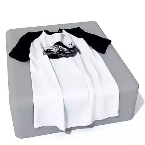 Black And White Cloth T Shirt 3D model